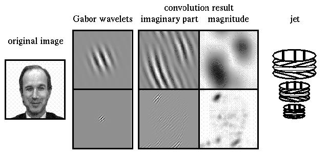 Gabor-wavelet transform and jet (33 kB)